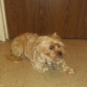 Meet your Posher, Paulette